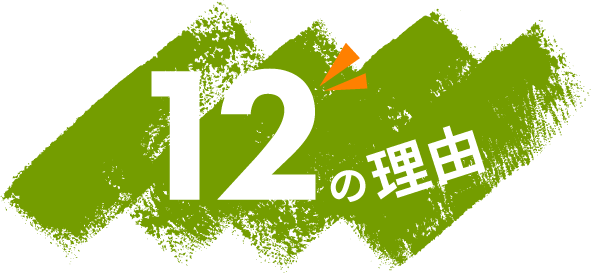 12の理由